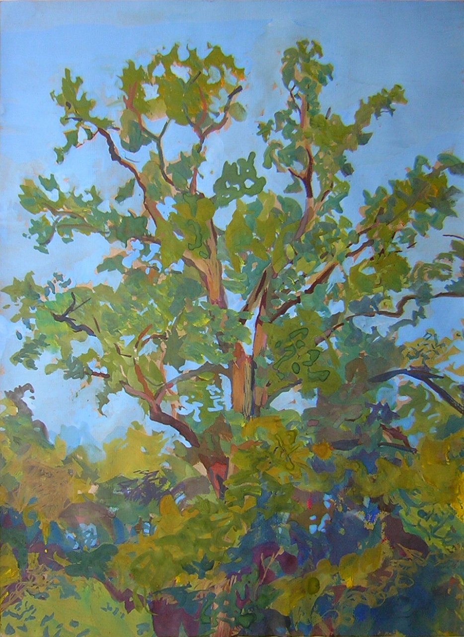 163EikBlauweLucht.jpg