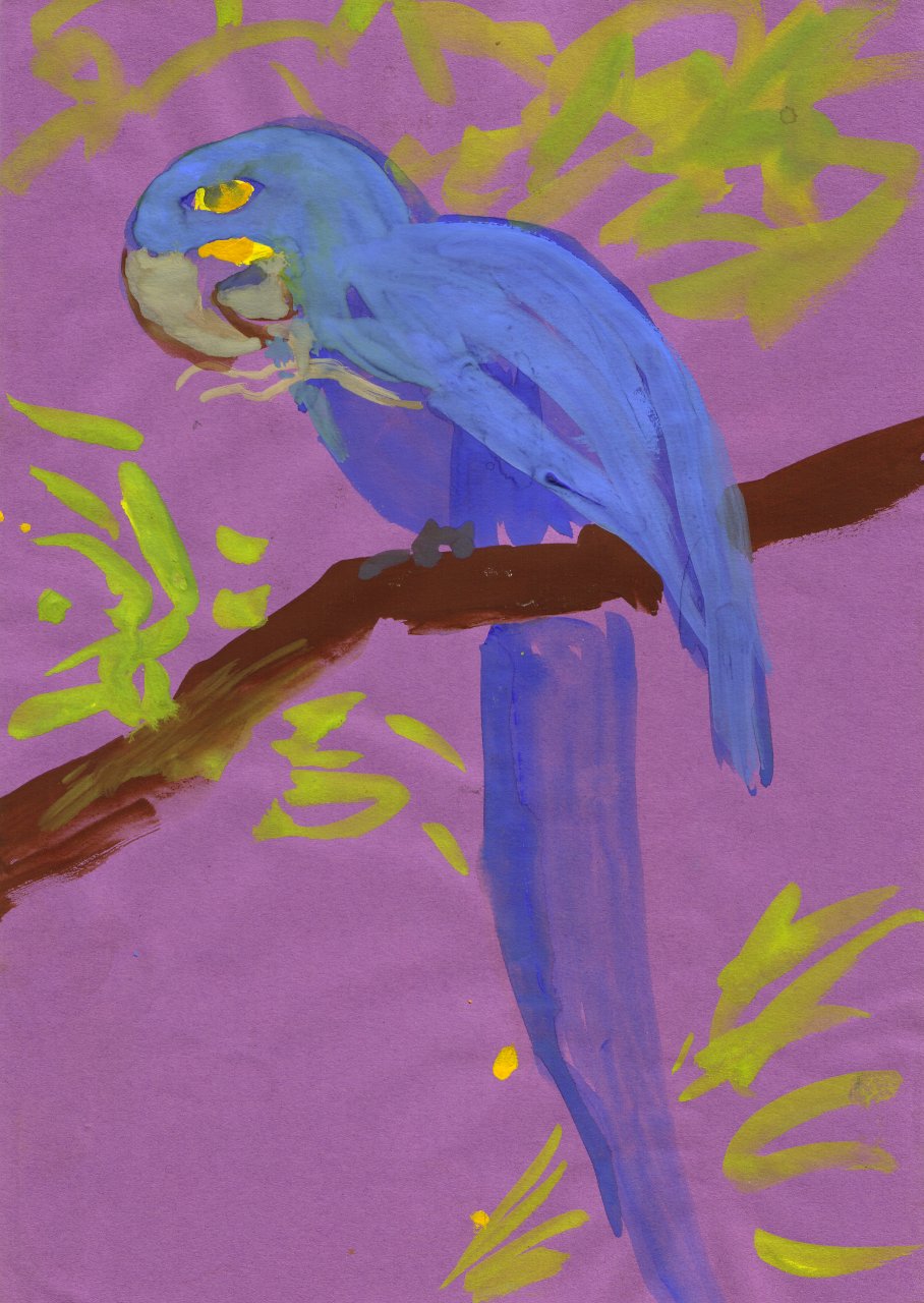 248BlauweAra.jpg