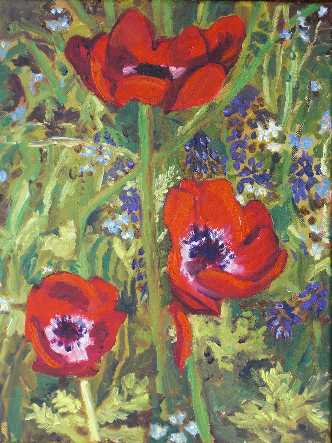 305Anemonen.jpg