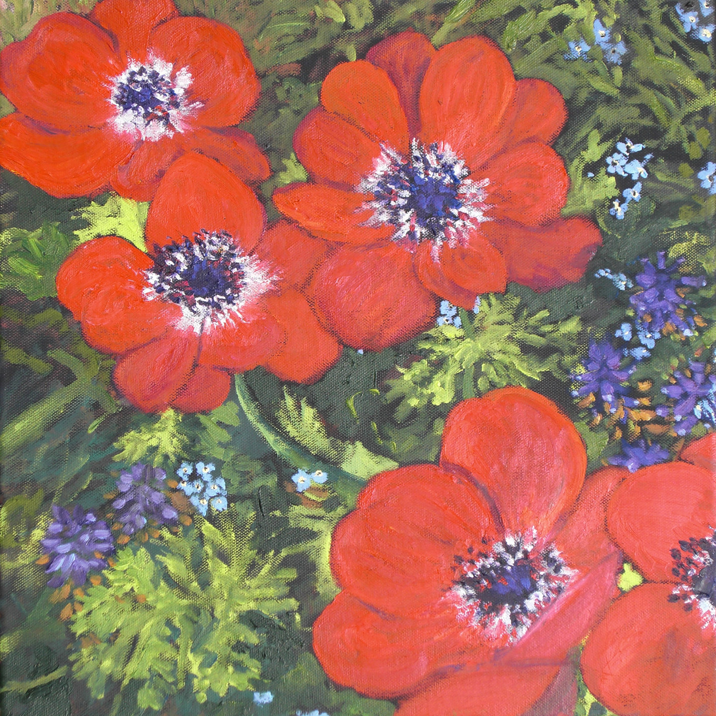 306Anemonen.jpg