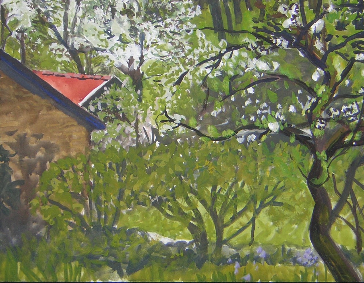 196HuisVanafTuin.jpg