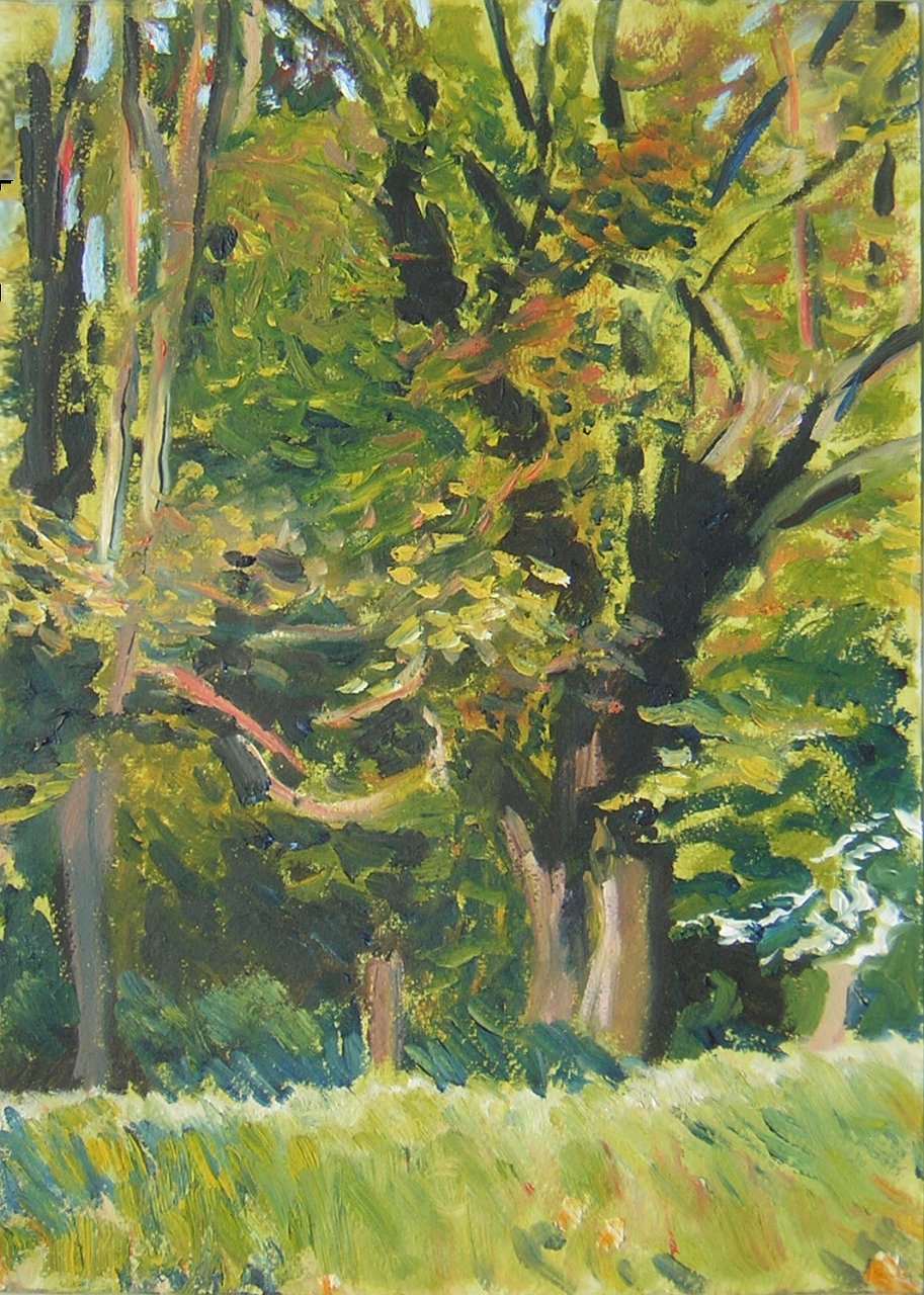 223BosrandSapogne.jpg