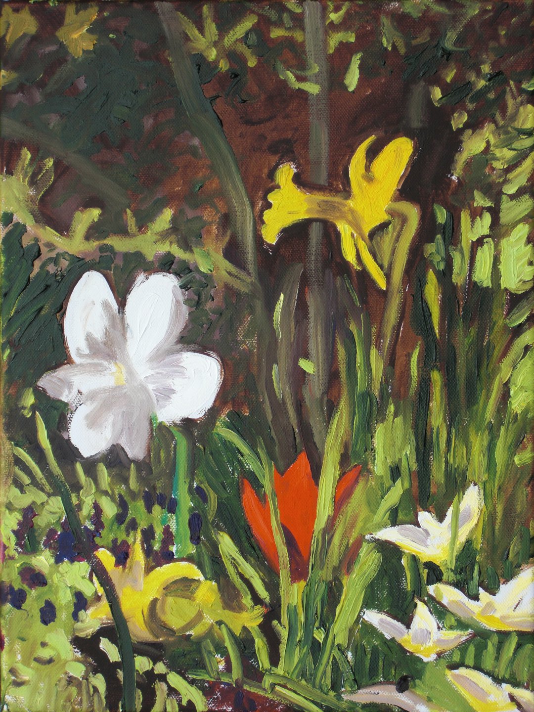 299Narcissen&Tulp.jpg